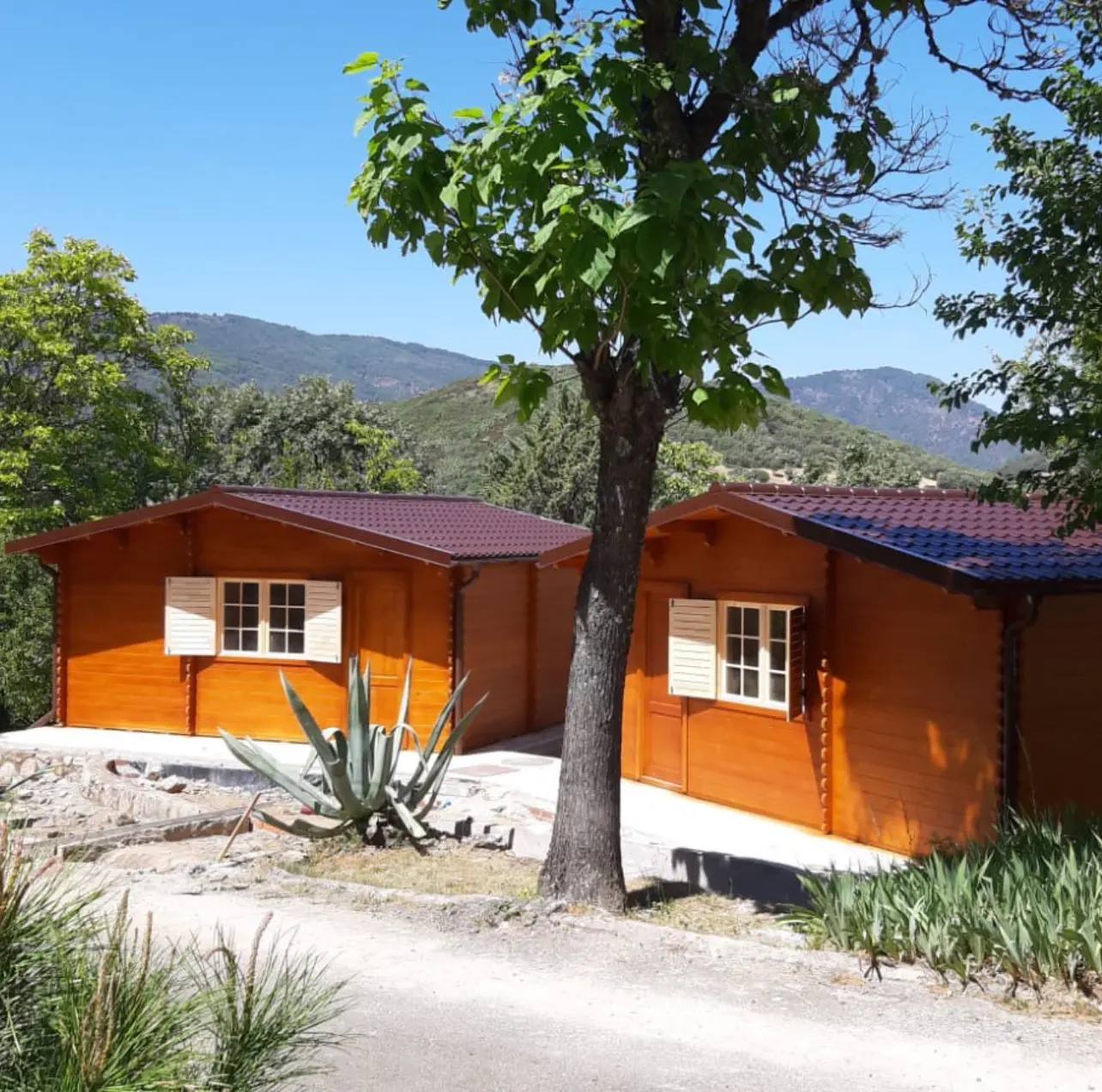 Two small wooden cabins with white-shuttered windows surrounded by greenery and mountains under a clear blue sky.